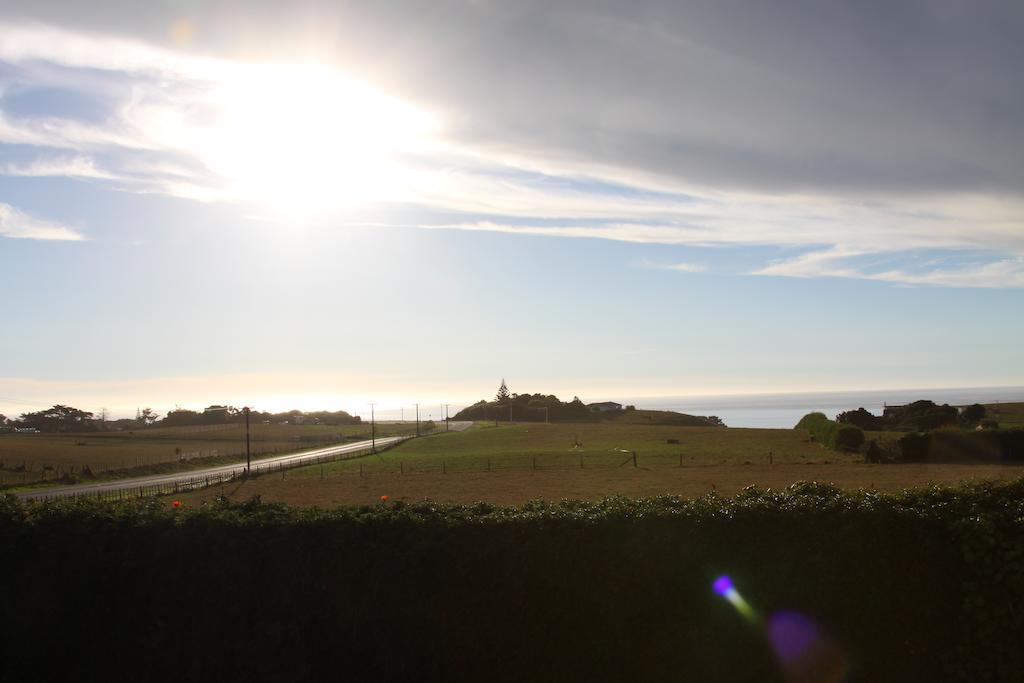 Richmond Farm Lodge New Plymouth Buitenkant foto